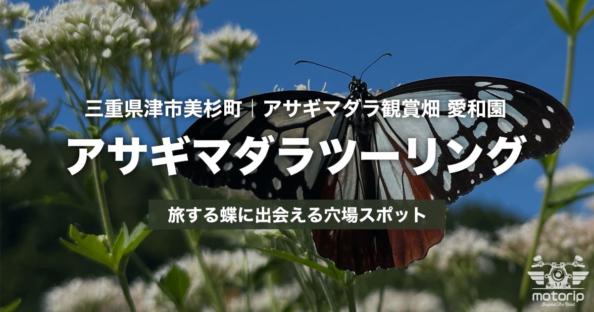 アサギマダラ観賞畑 愛和園ツーリング｜旅する蝶に出会える三重県の穴場スポット
