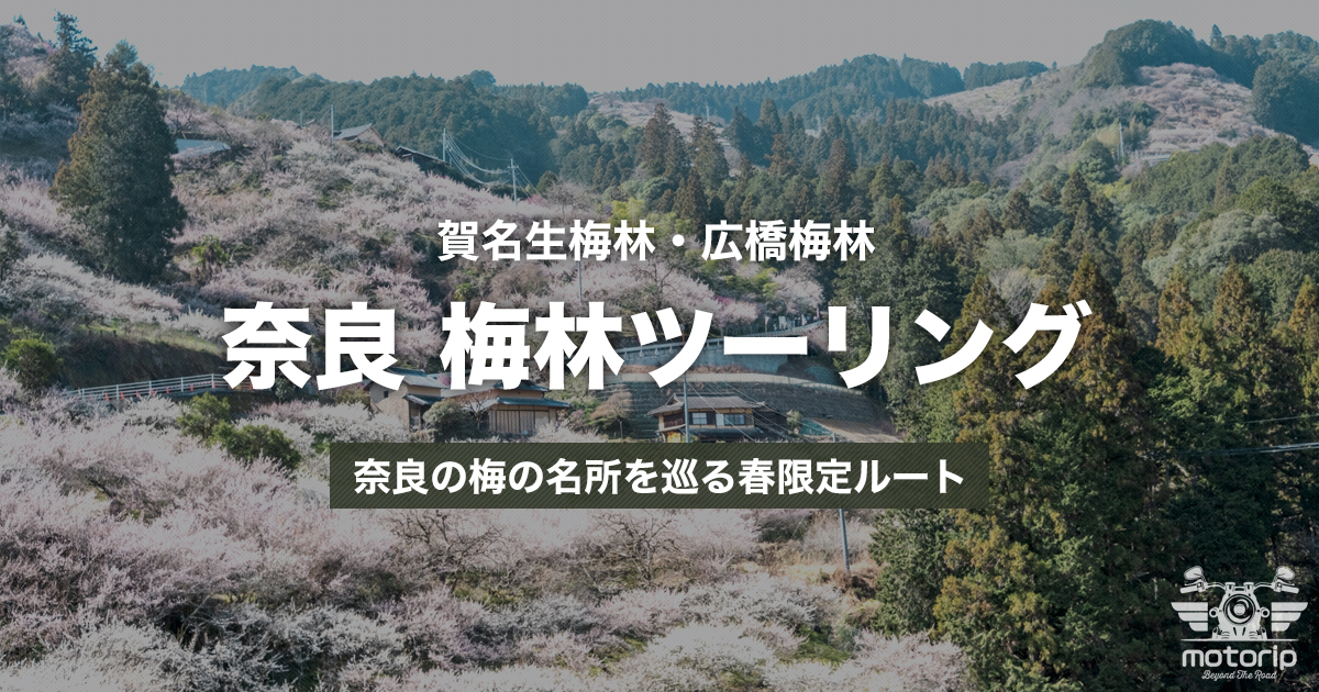 賀名生梅林・広橋梅林ツーリング｜奈良の梅の名所を巡る春限定ルート