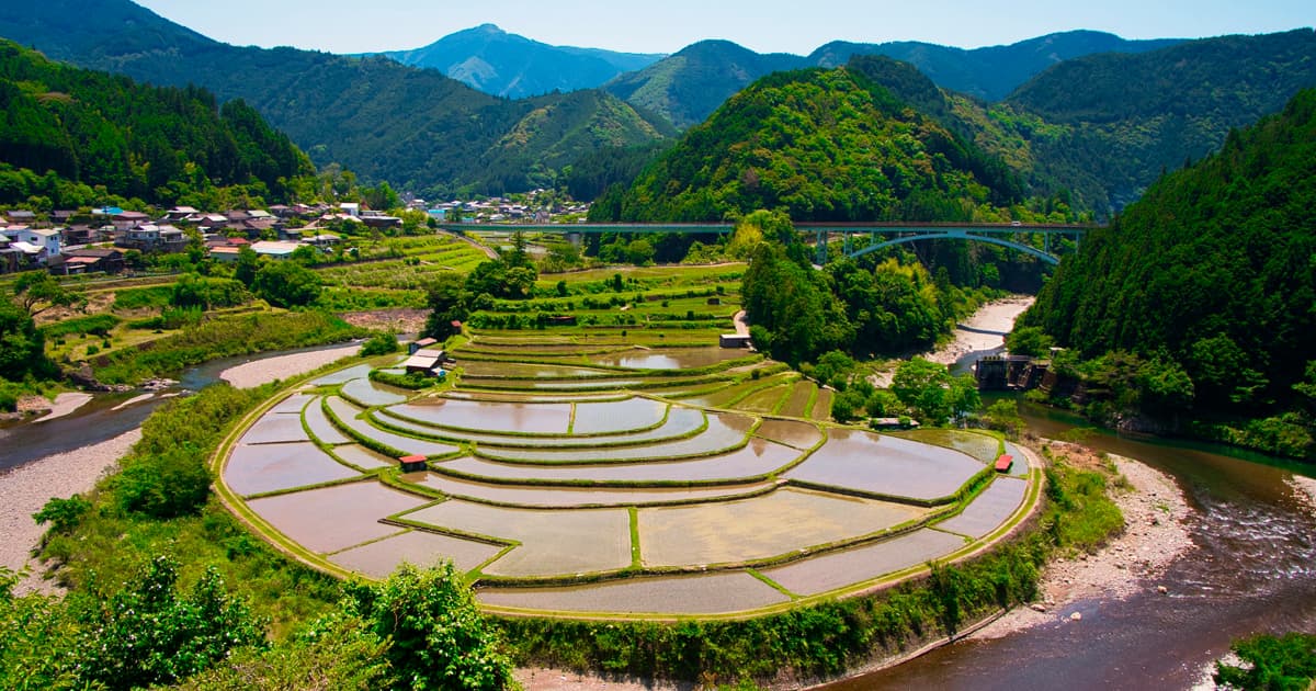 あらぎ島｜田んぼに水が張られた景色