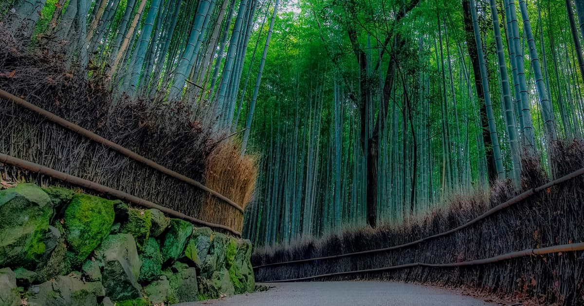 嵐山｜おすすめの時間帯と混雑回避