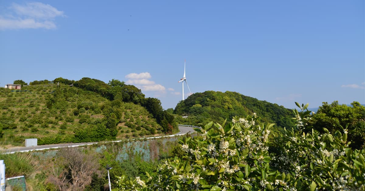 有田みかん街道は気持ちの良い海の高台にあるルート