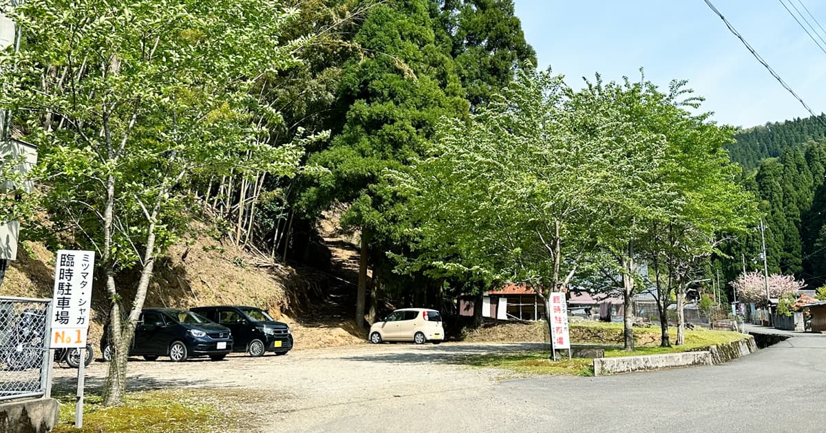 京都府綾部市「水源の里・老富」にあるミツマタ群生地の無料臨時駐車場