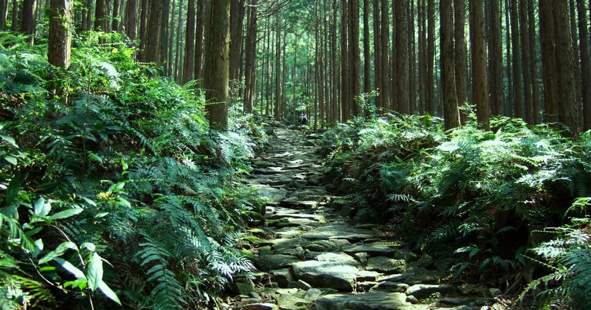 熊野古道伊勢路のなかで最も美しいとされる石畳道