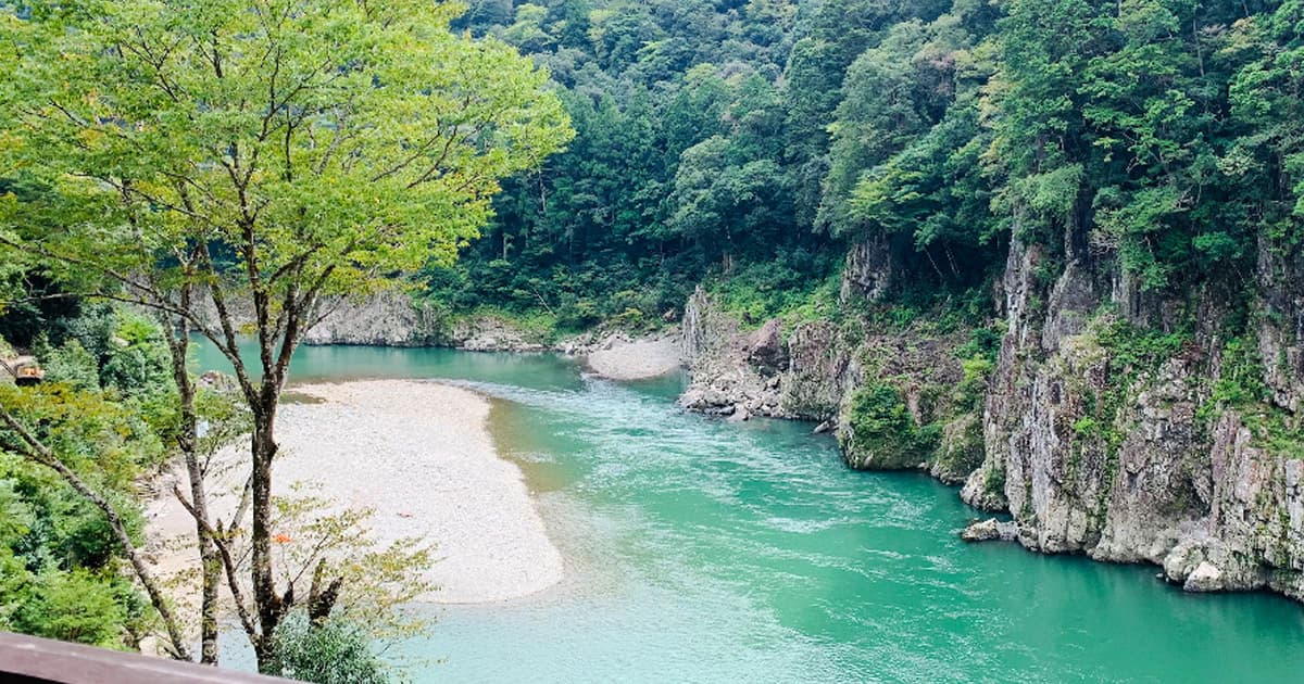 瀞峡の観光の目玉は、約30分瀞峡内をクルーズする川舟観光
