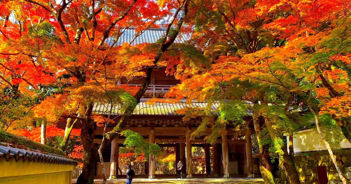 永源寺はの秋の紅葉は有名で、「もみじ寺」としても親しまれている