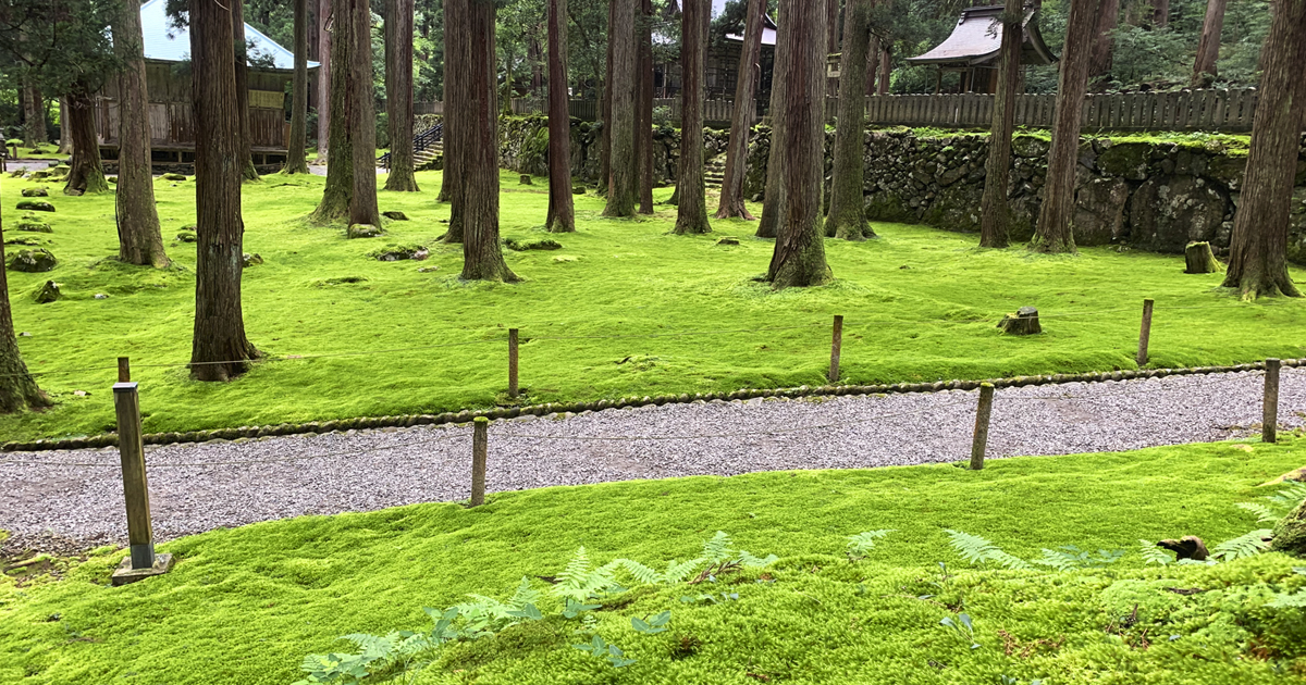 平泉寺 白山神社｜北陸の苔寺