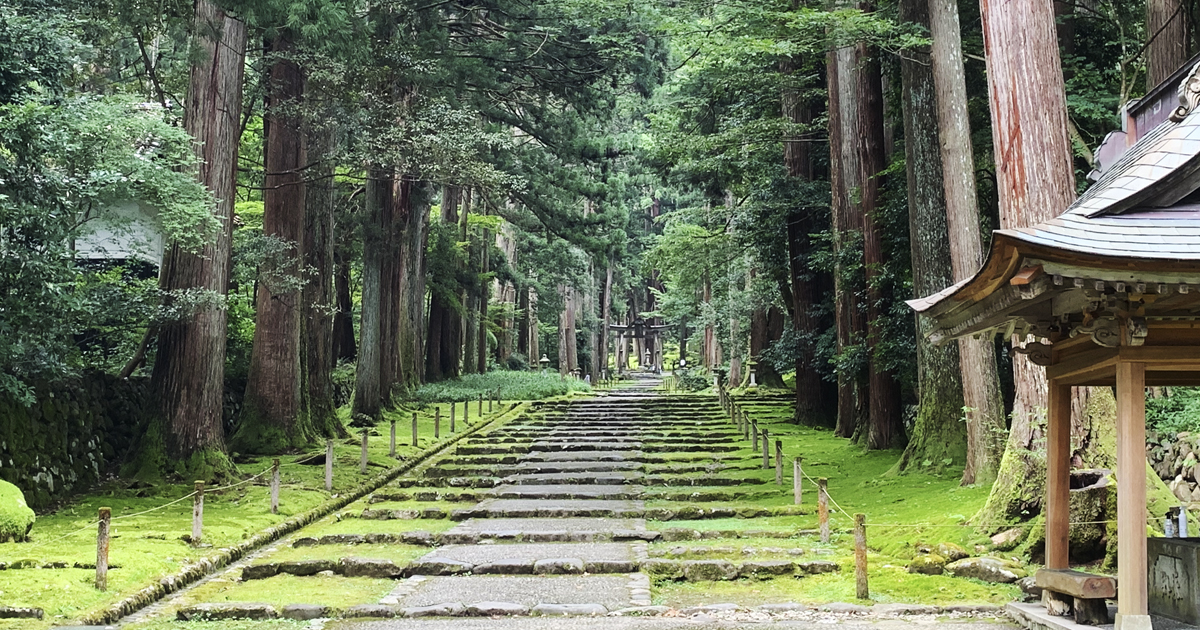 平泉寺 白山神社｜「日本の道100選」に選ばれている参道や石畳