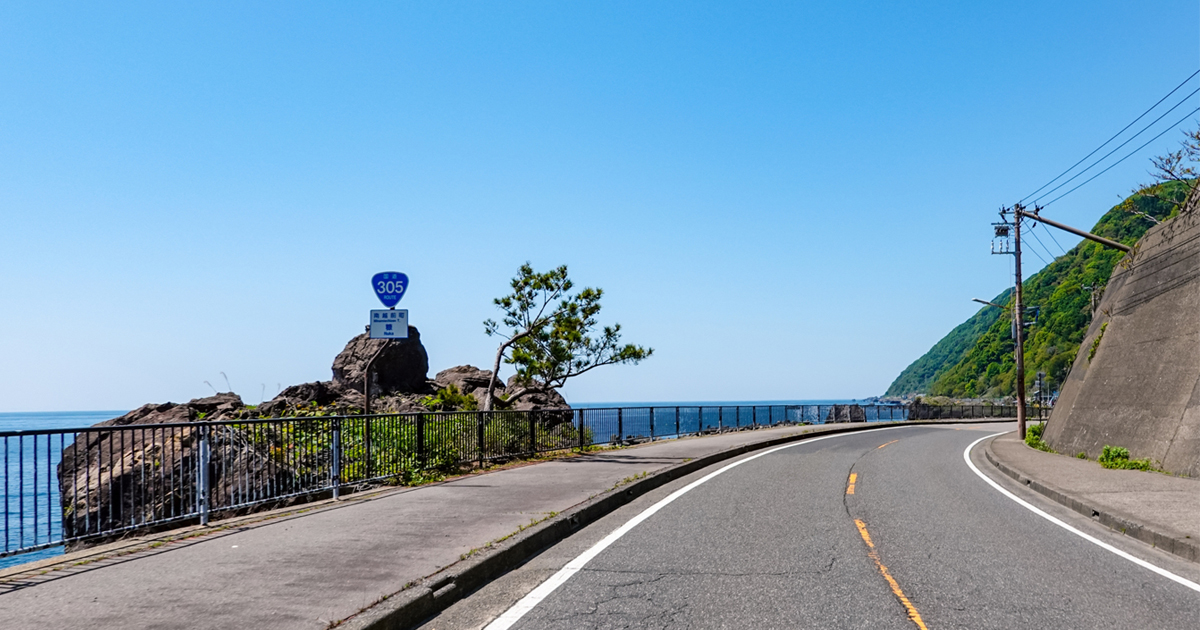 越前・河野しおかぜラインで海を感じる