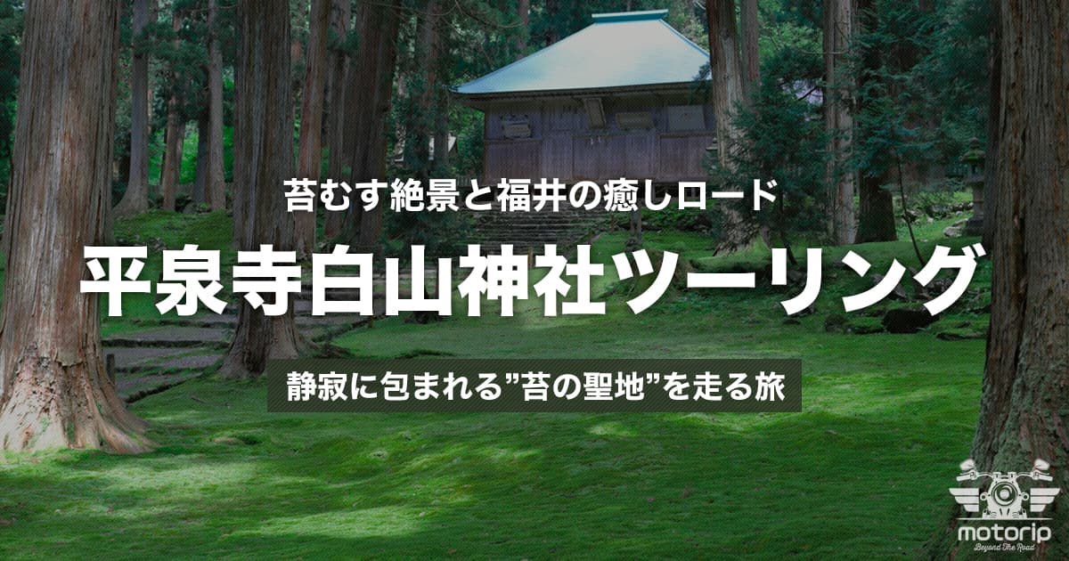 平泉寺白山神社ツーリング｜苔むす絶景と福井の絶景ロードを走る