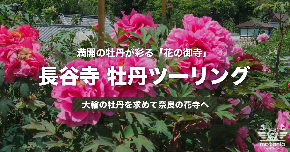 長谷寺ツーリング｜満開の牡丹が彩る「花の御寺」へ【奈良】