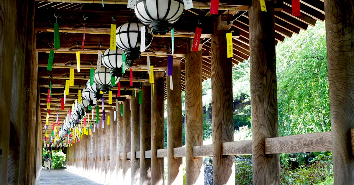 奈良 長谷寺の登廊には、夏の風舞「風鈴」が風にそよぐ