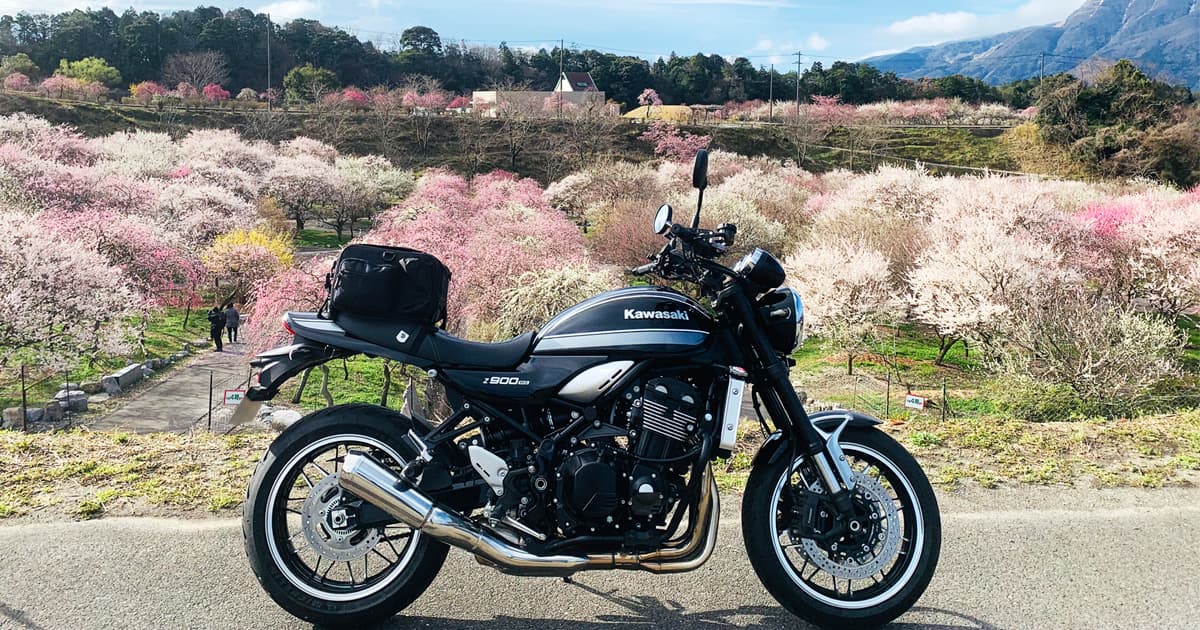 梅まつりが開催されなかった年にバイクと撮影