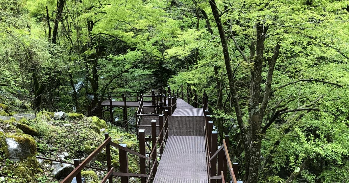 河内の風穴までの参道は整備されている