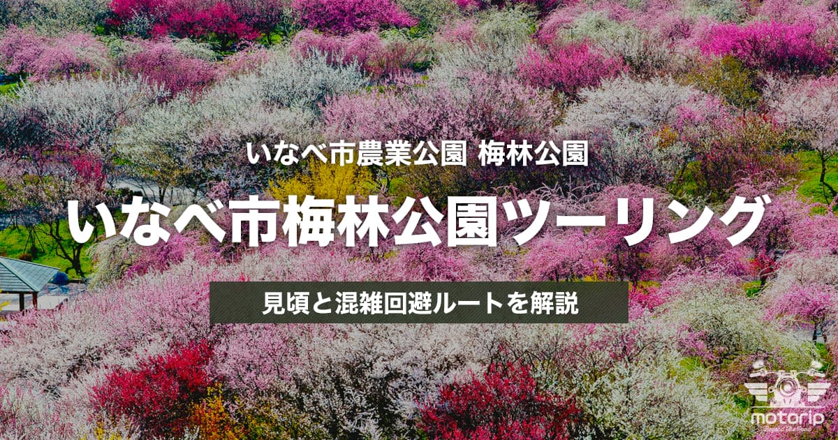 いなべ梅林公園＆河内の風穴ツーリング｜見頃と混雑回避の回り方