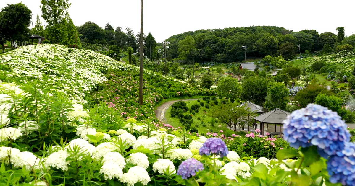 かざはやの里の園内は、33,000㎡と広大で起伏のある丘陵地
