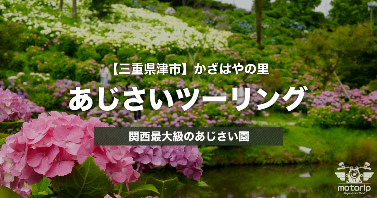 かざはやの里 あじさいツーリング｜関西最大級のあじさい園【三重県津市】