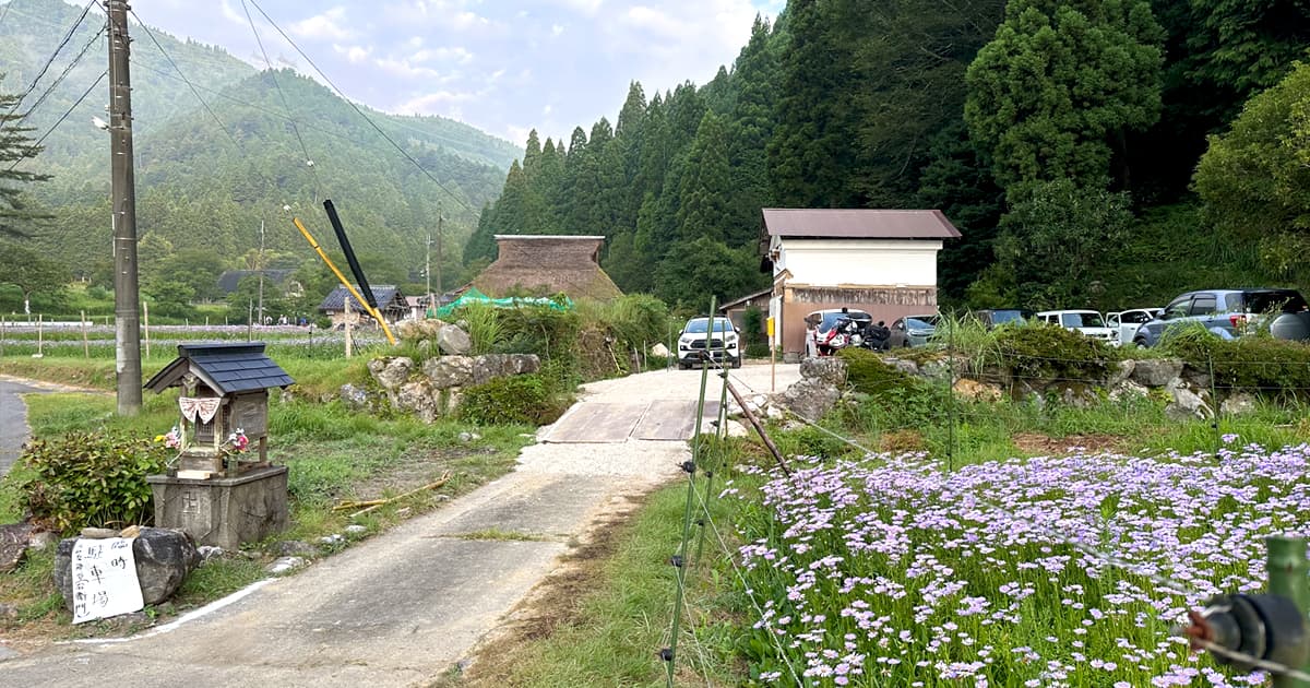 臨時駐車場は、北山友禅菊の開花時期のみ