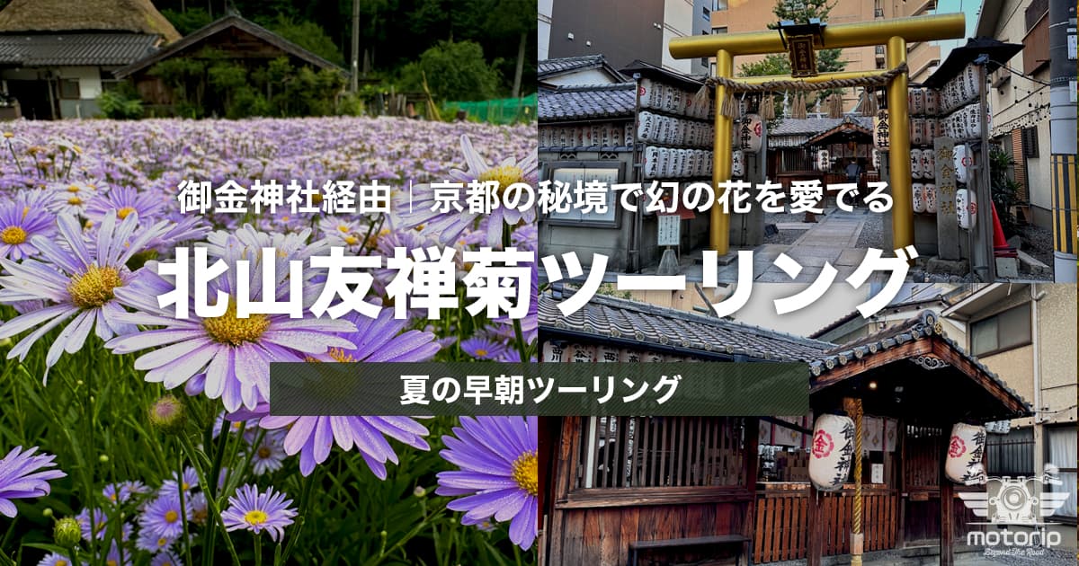 北山友禅菊＆御金神社ツーリング｜京都の秘境を巡る夏の早朝ツーリング