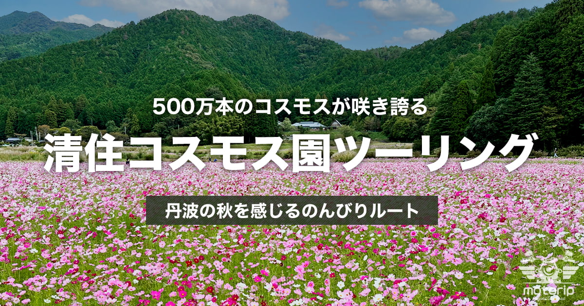 清住コスモス園ツーリング|丹波の秋を感じるのんびりルート