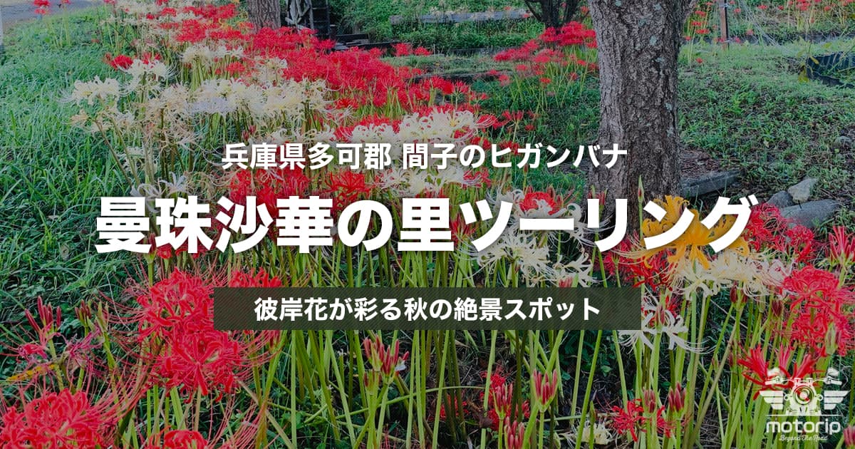曼珠沙華の里ツーリング｜真っ赤な彼岸花が彩る秋の絶景スポット【兵庫県】
