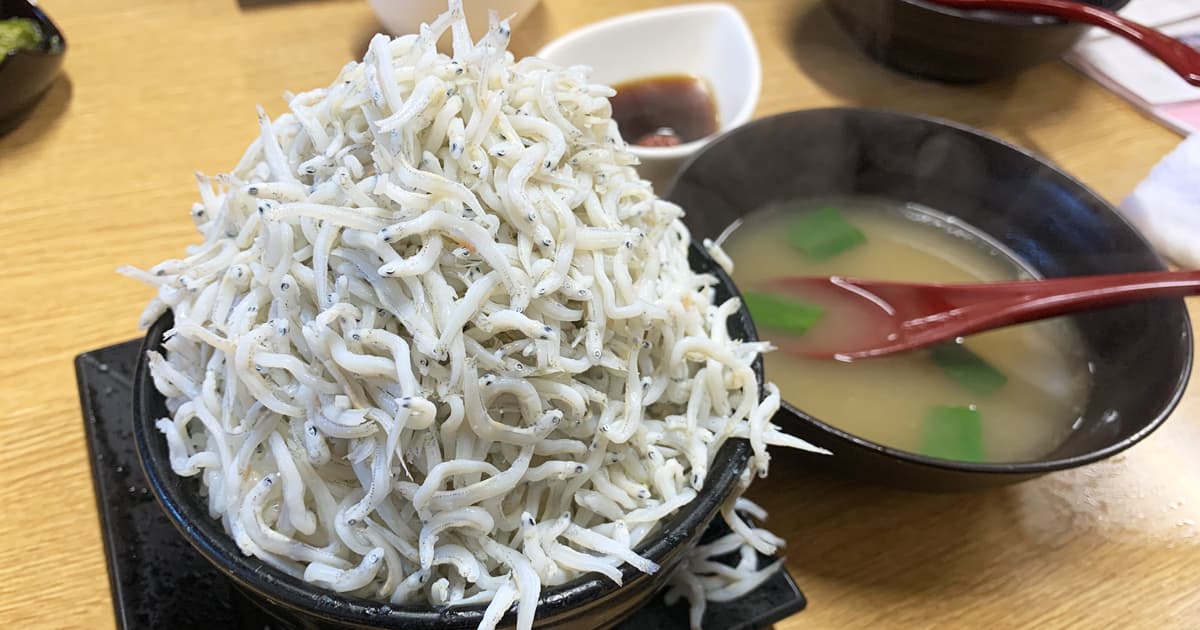 満幸商店の大盛りしらす丼
