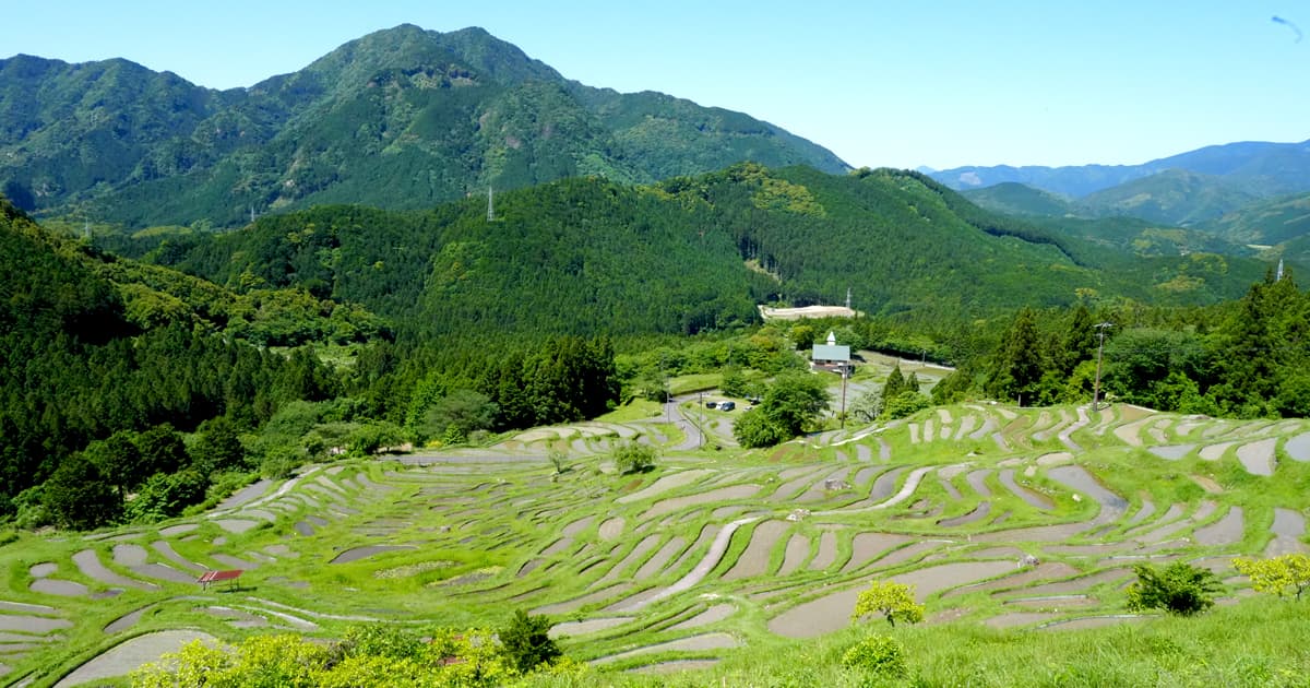 丸山千枚田 東屋からの景色