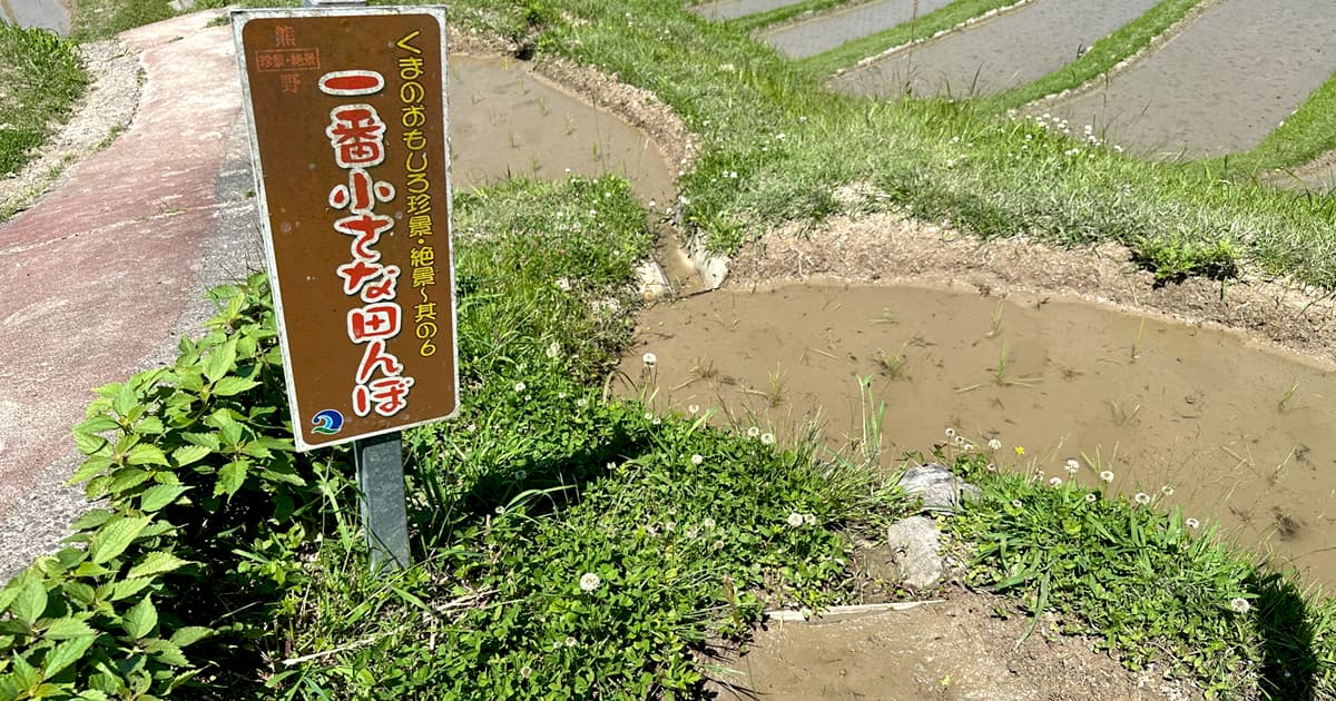 可愛らしい「一番小さな田んぼ」