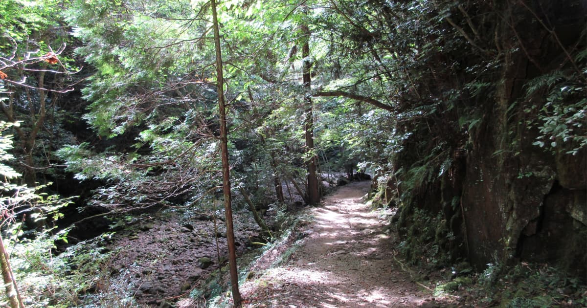 龍鎮神社へ続く遊歩道