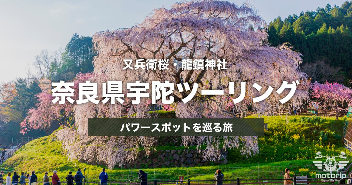 又兵衛桜＆龍鎮神社ツーリング｜見頃・混雑回避と静寂のパワースポット