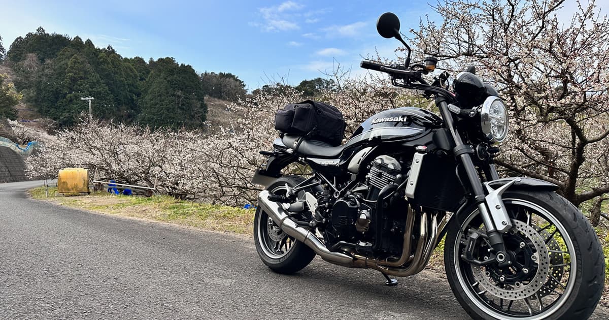 バイクと梅を撮影できるポイントもたくさん｜南部梅林