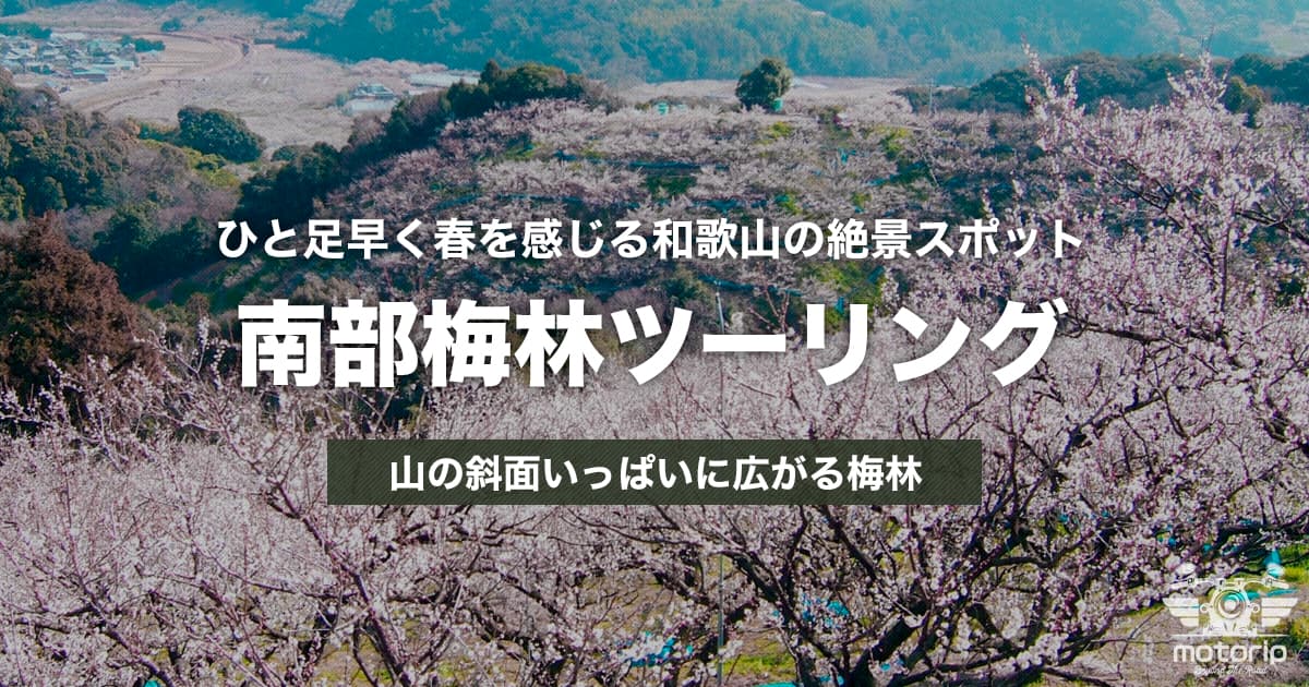 みなべ梅林ツーリング｜ひと足早く春を感じる和歌山の絶景スポット