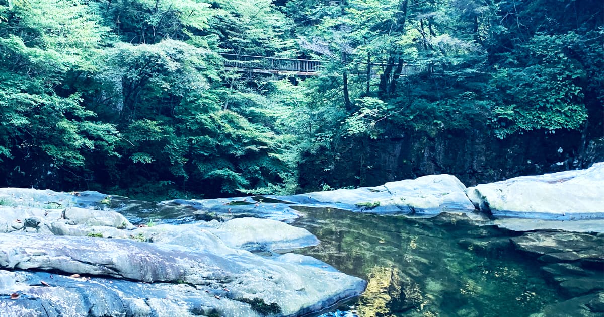 みたらい渓谷の魅力は、なんといっても透明度の高い川と自然豊かな景色