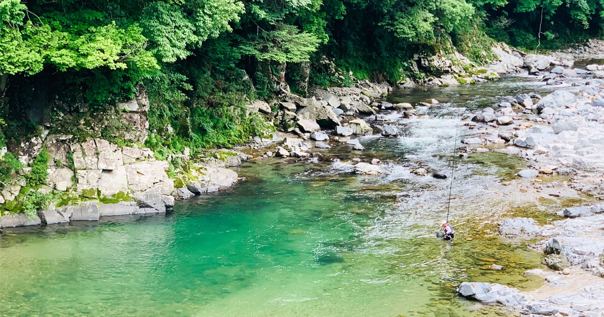 あじさい街道沿いには美しい透明な板取川が流れている