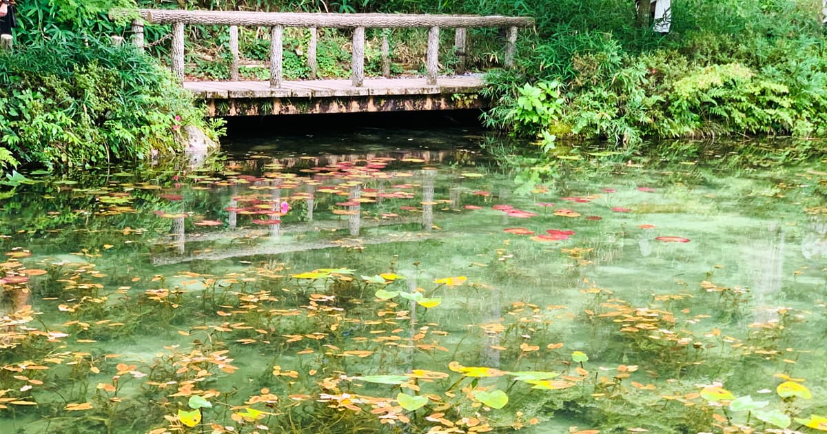 実際に見たモネの池の色