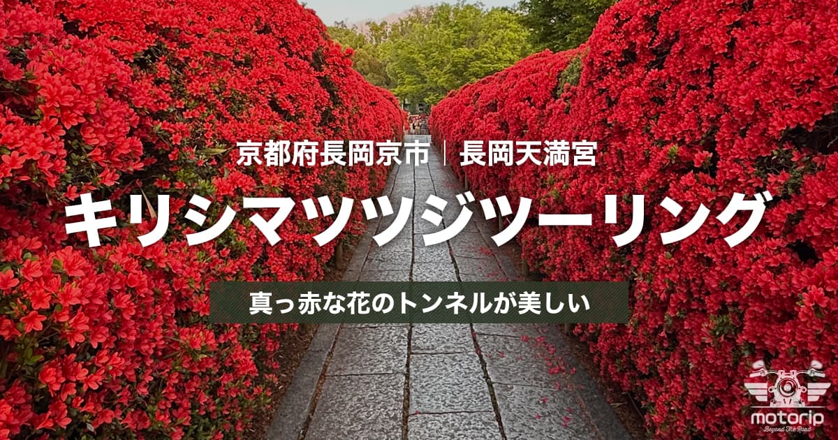 長岡天満宮キリシマツツジツーリング｜真っ赤な花のトンネルが美しい春限定の絶景【京都府長岡京市】