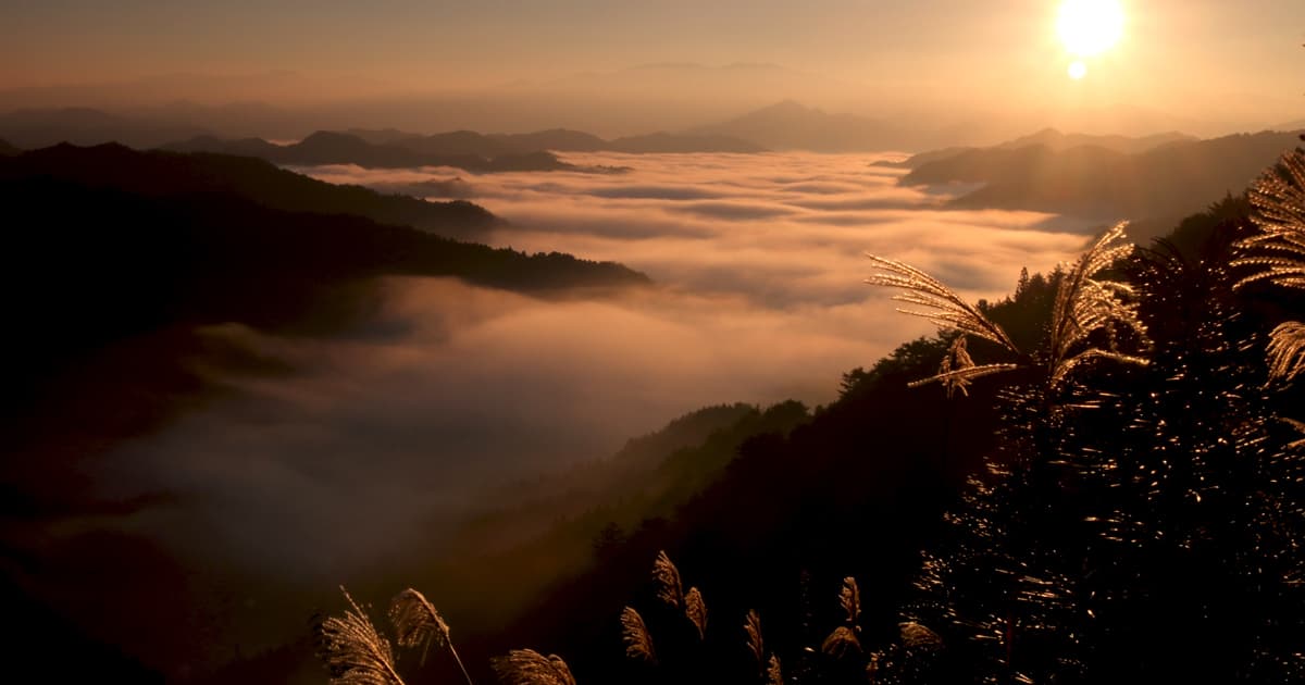 野迫川村 雲海|太陽が登ると美しさが倍増!