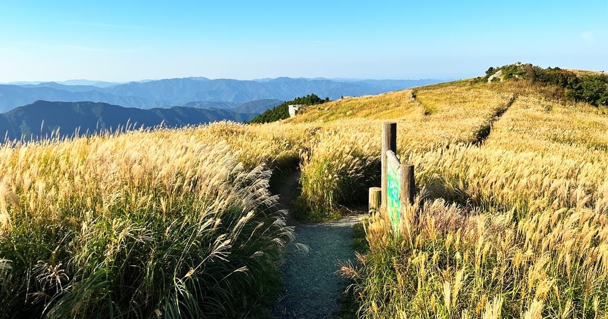 生石高原の魅力の1つは、ススキ野原から見下ろす山々の景色