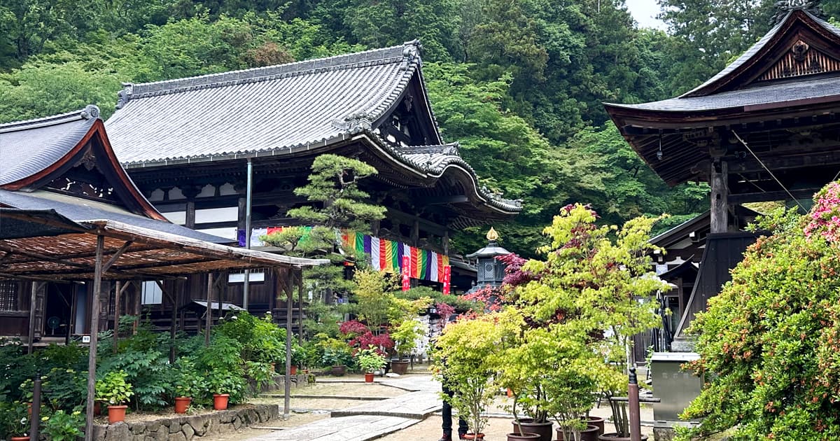 奈良県明日香村にある「岡寺」は日本初の厄除け霊場として有名
