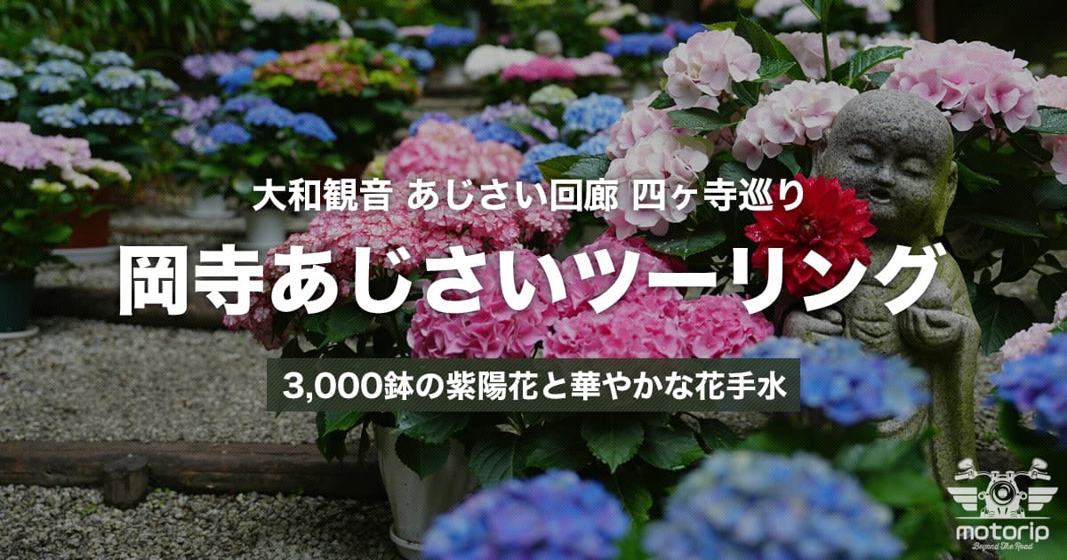 岡寺あじさいツーリング｜大和観音 あじさい回廊で四ヶ寺を巡り【奈良】