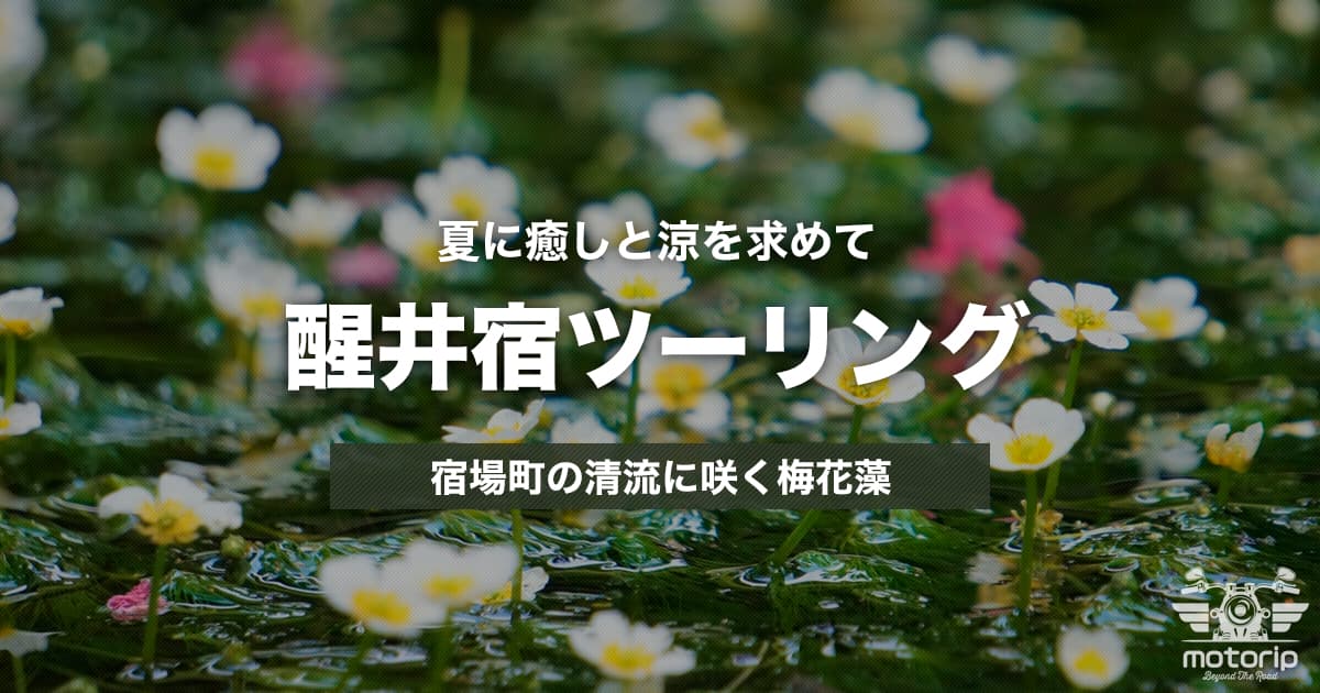 醒井宿ツーリングで梅花藻に癒やされる｜涼を感じる絶景日帰りルート