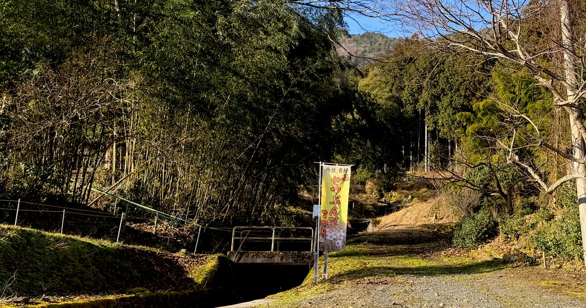 青垣|森のせつぶん草群生地