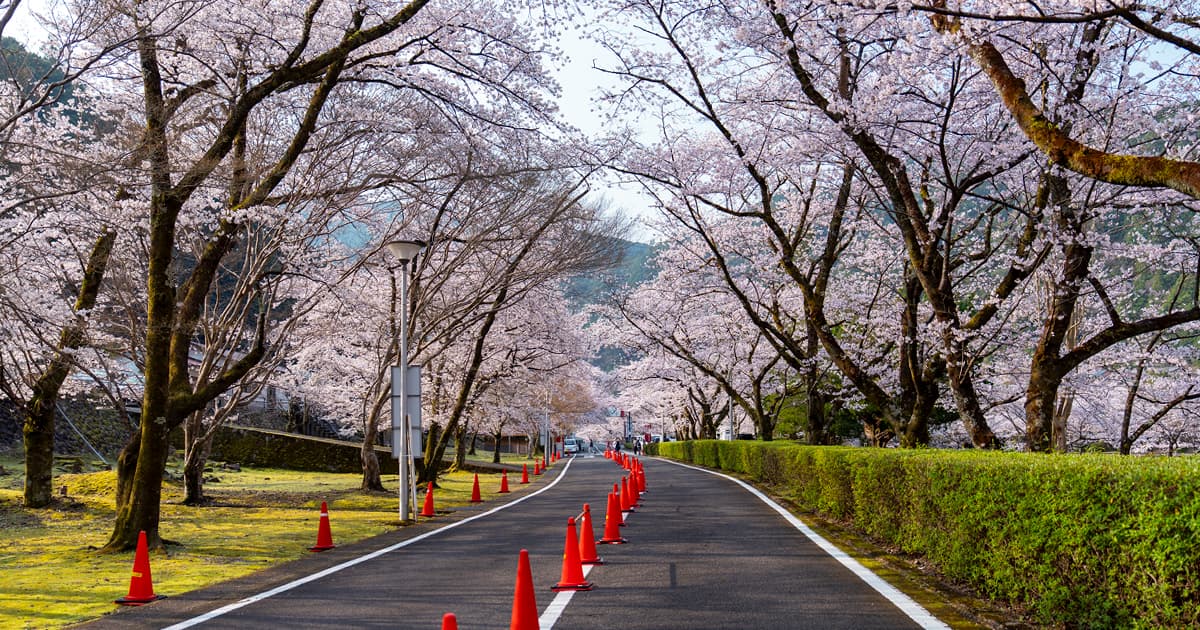 下北山スポーツ公園の混雑と注意点