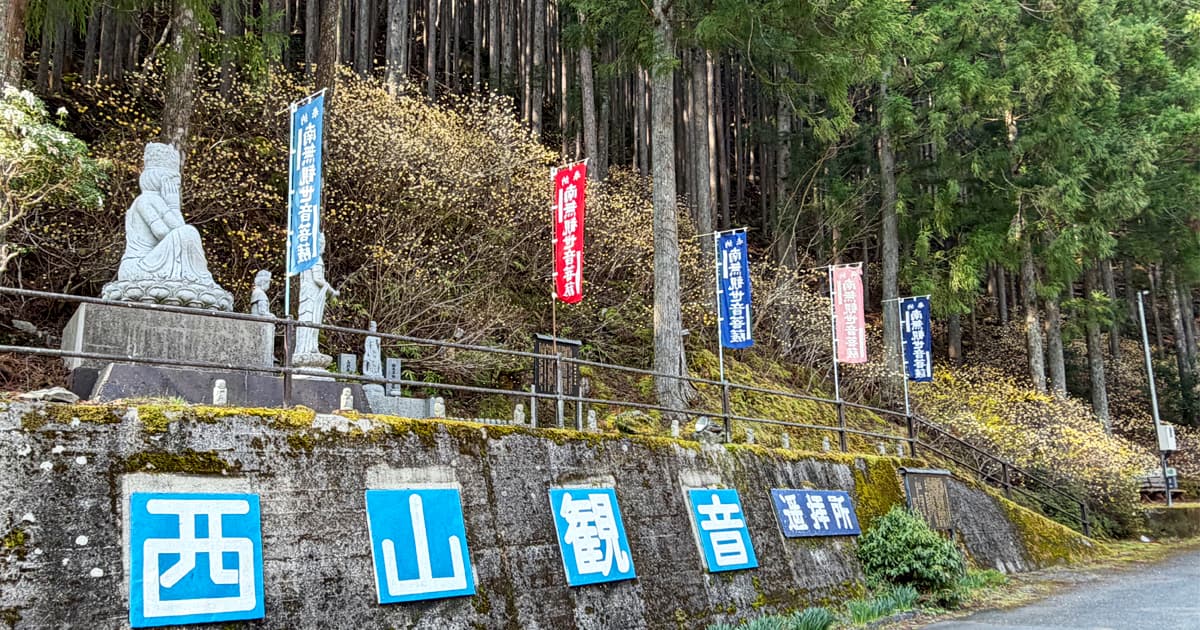 西山観音遙拝所でミツマタに癒される