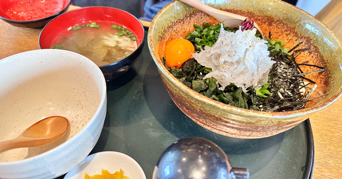 しらす屋ゆあさ湾則種の生シラス丼