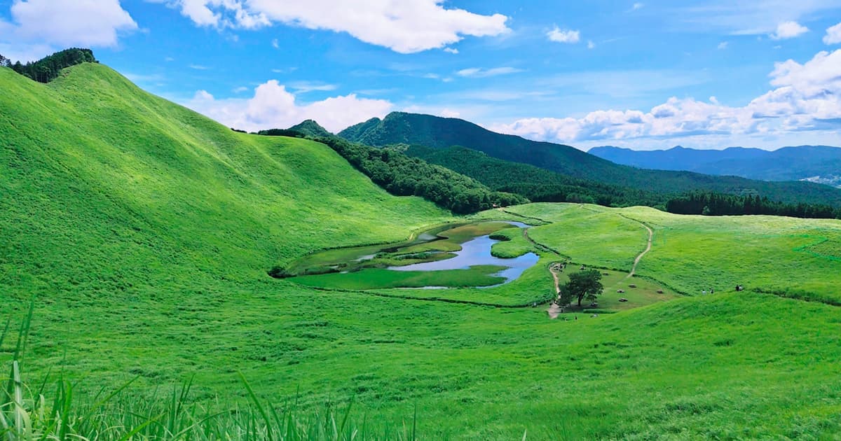 曽爾高原の山の上まで続く遊歩道を歩くことが見える景色