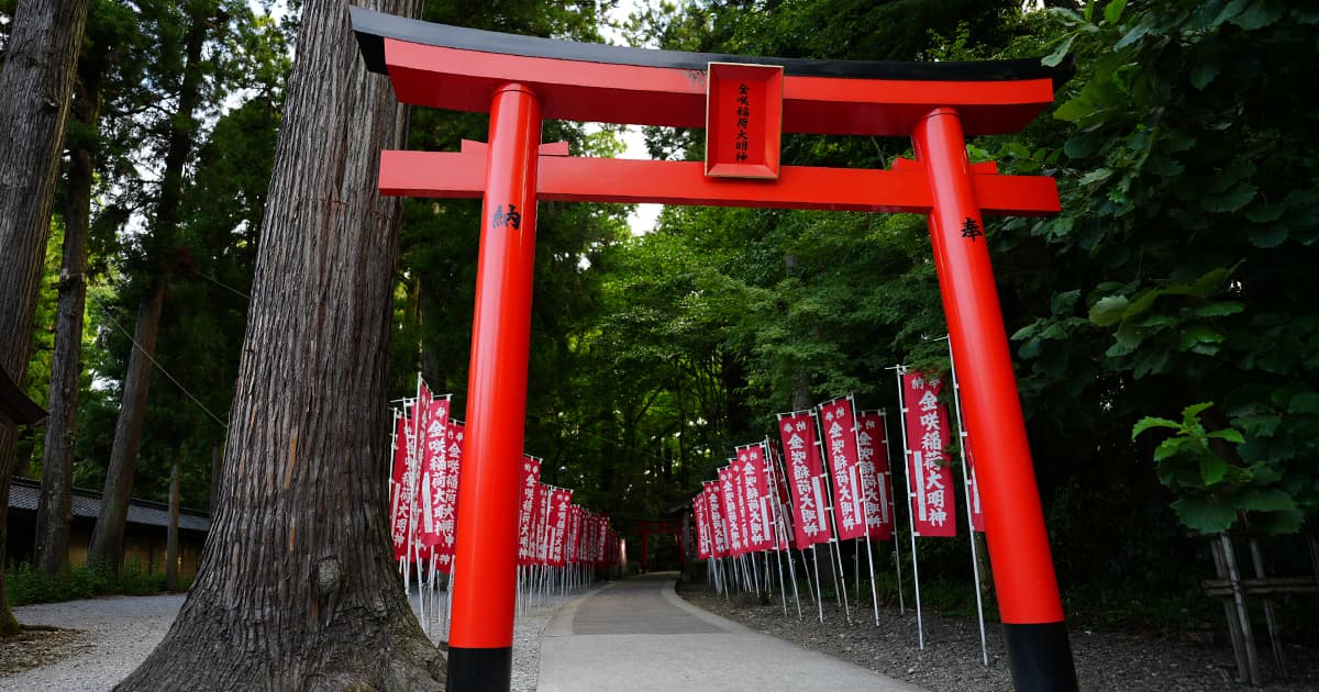 多賀大社内の金咲稲荷神社へ続く参道