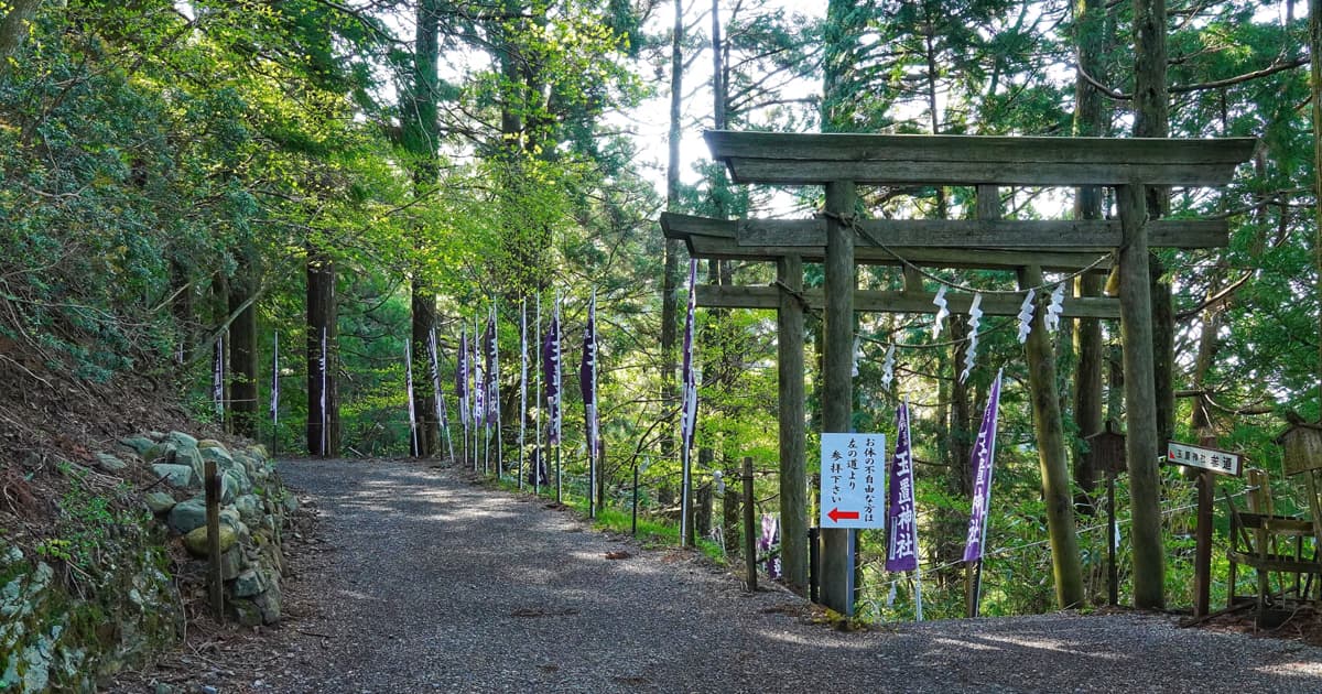 玉置神社へは、「参道」「お体の不自由な方用の参道」ふたつのルートに分かれている