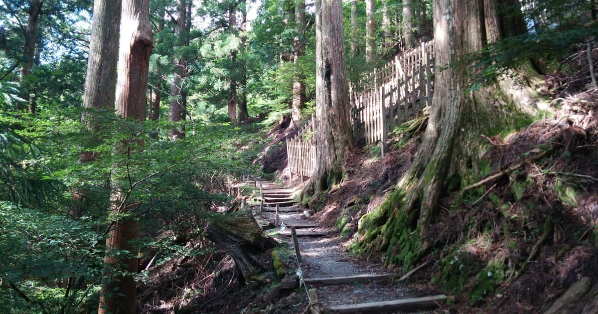玉置神社の山全域が神聖な場所とされている