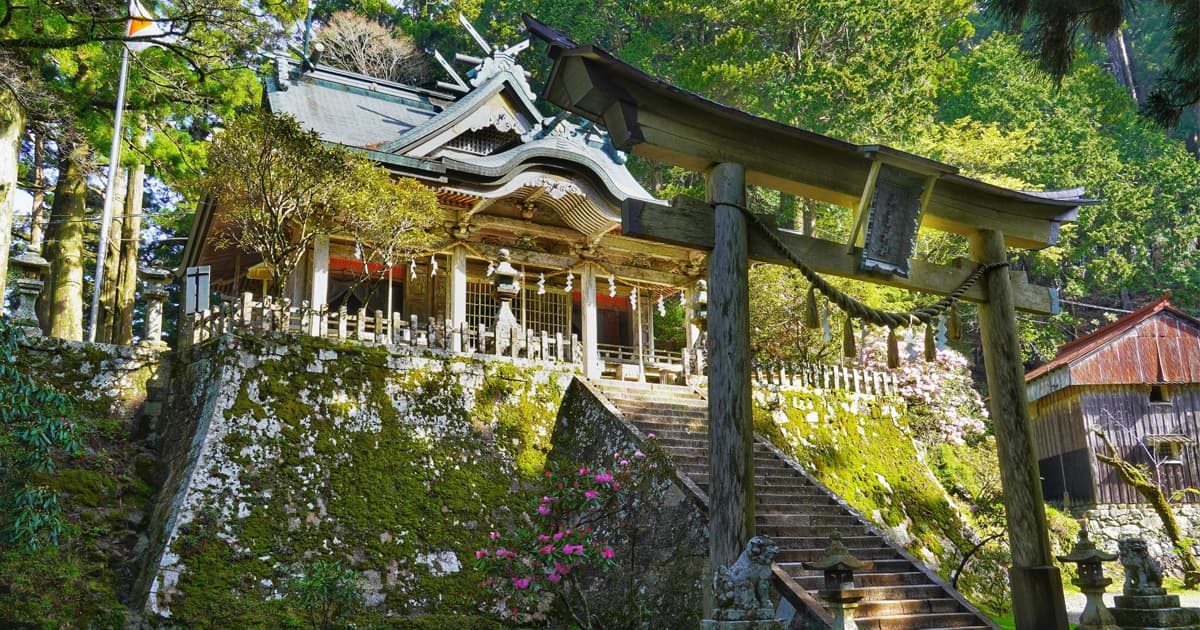 玉置神社の魅力は、山の上にある神社ならではの神秘的な空気感