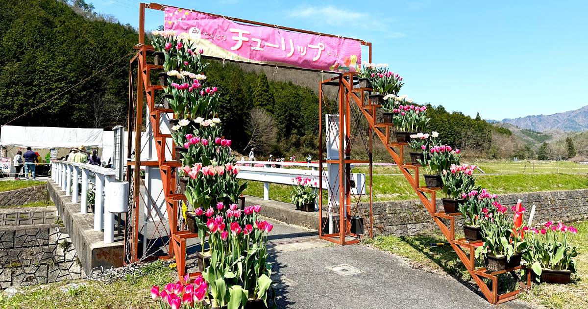 たんとうチューリップまつりのゲート横に駐輪場